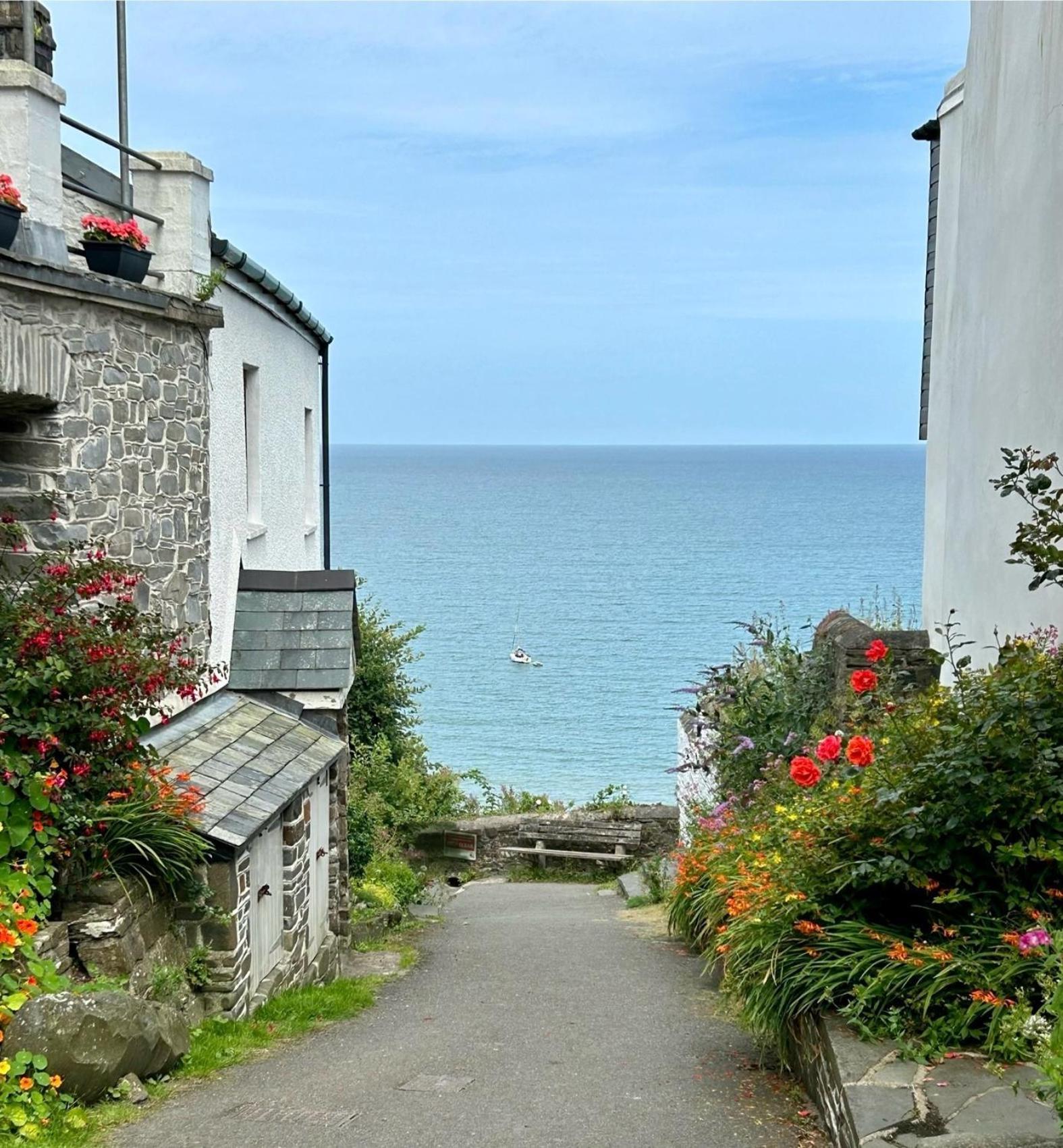 Cosy Boathouse Cottage By The Sea With Log Burner Bucks Mills Exterior photo